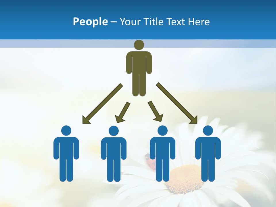 Daisy Field PowerPoint Template