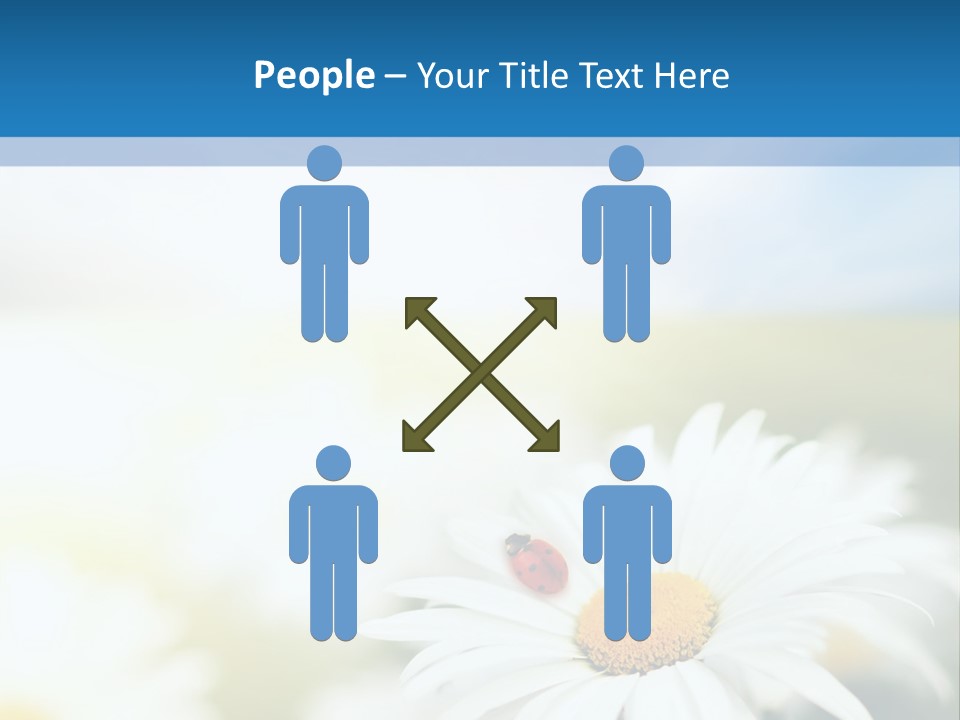 Daisy Field PowerPoint Template