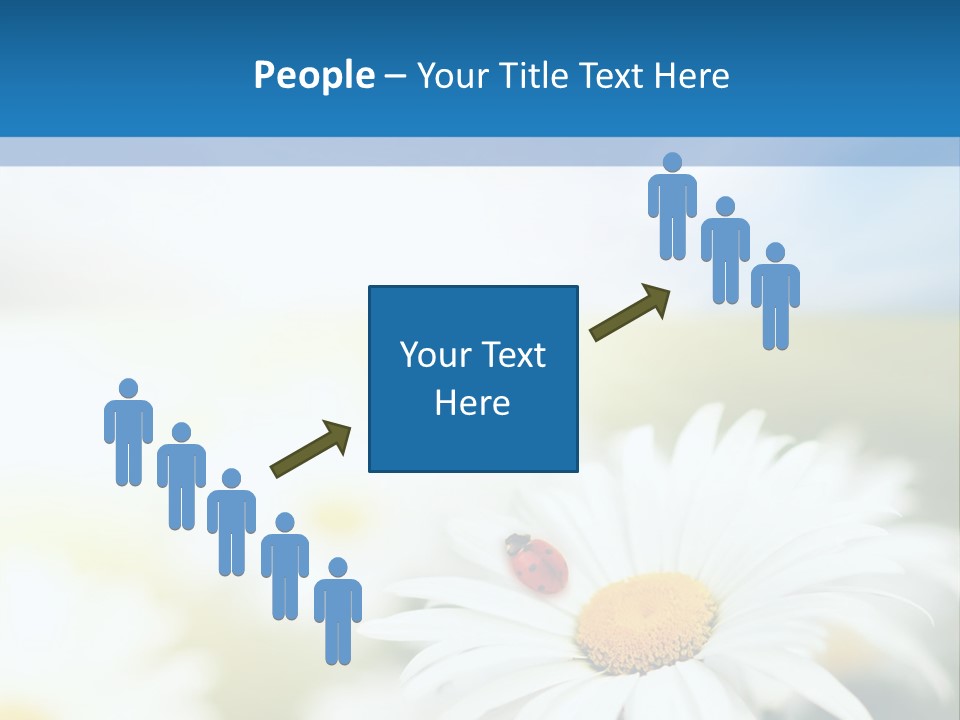 Daisy Field PowerPoint Template
