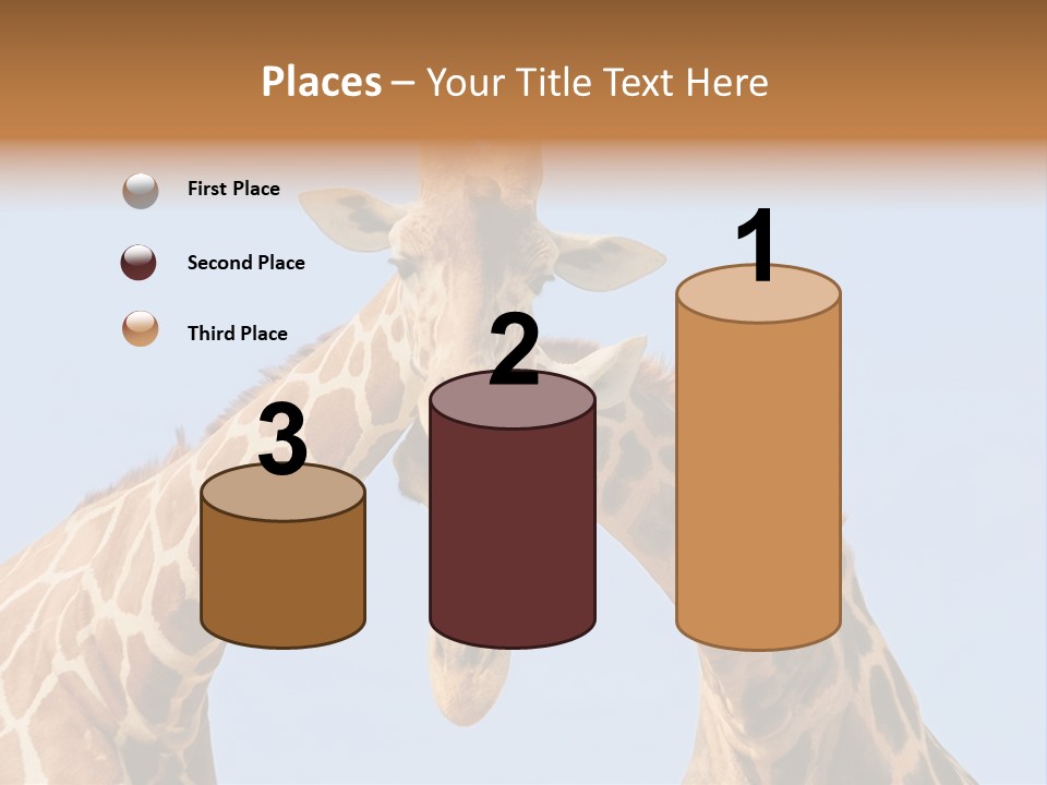 Giraffe Couple In Love With Blue Sky On Background PowerPoint Template