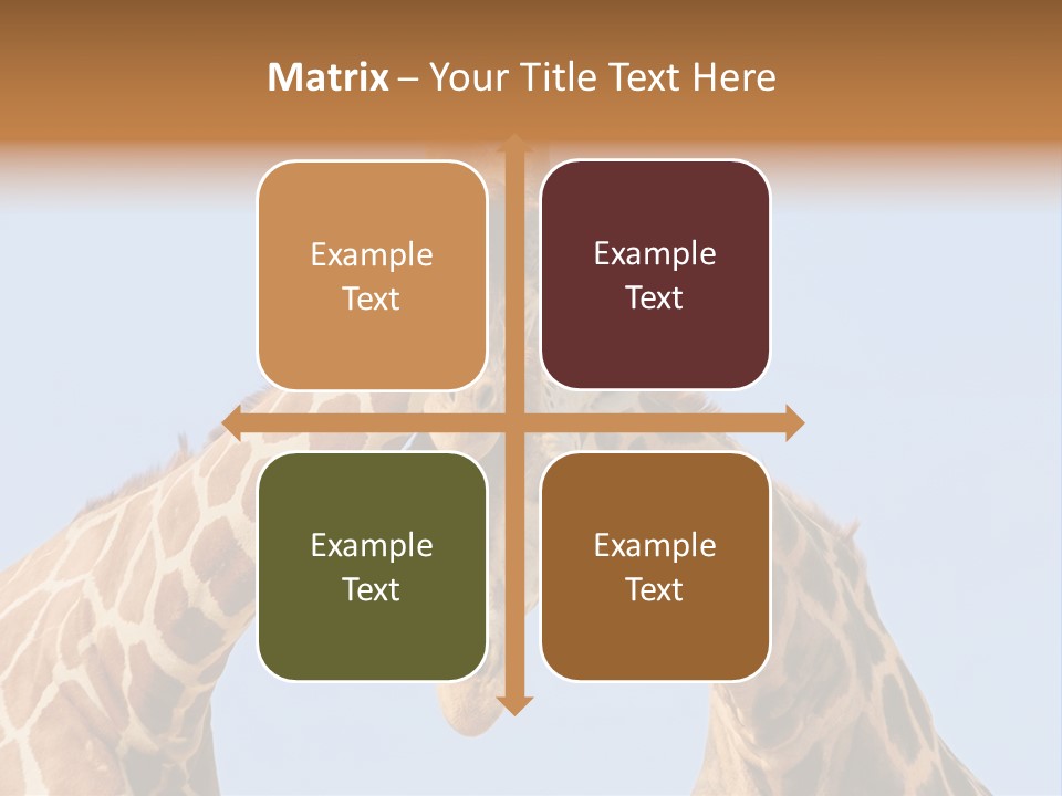 Giraffe Couple In Love With Blue Sky On Background PowerPoint Template