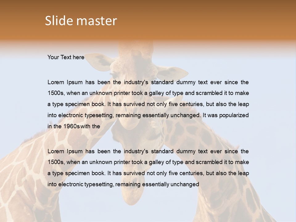 Giraffe Couple In Love With Blue Sky On Background PowerPoint Template