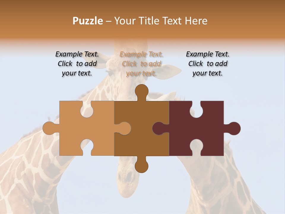 Giraffe Couple In Love With Blue Sky On Background PowerPoint Template