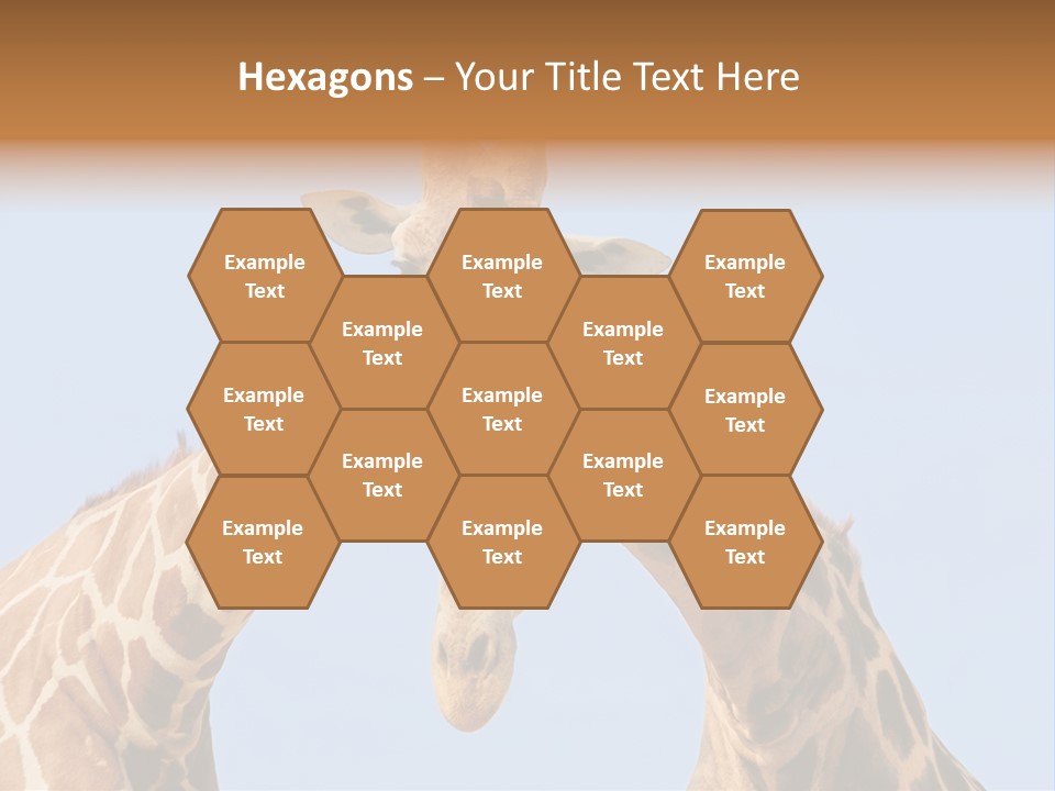 Giraffe Couple In Love With Blue Sky On Background PowerPoint Template