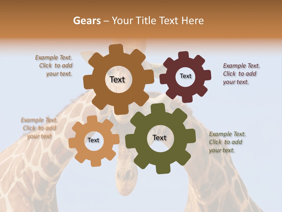 Giraffe Couple In Love With Blue Sky On Background PowerPoint Template