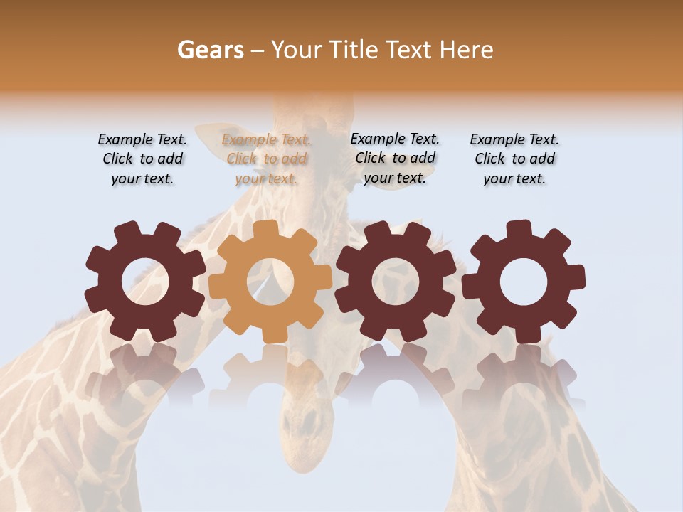 Giraffe Couple In Love With Blue Sky On Background PowerPoint Template