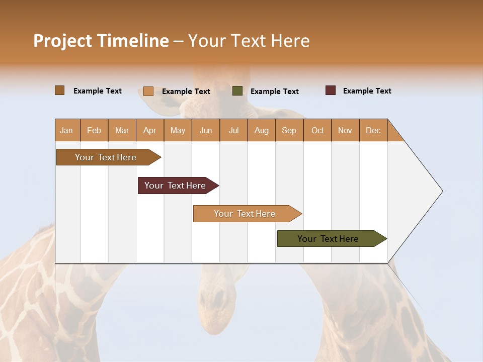 Giraffe Couple In Love With Blue Sky On Background PowerPoint Template