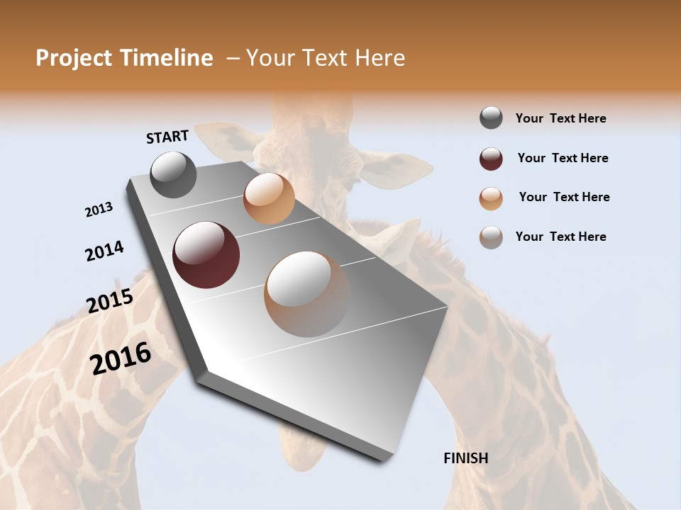 Giraffe Couple In Love With Blue Sky On Background PowerPoint Template