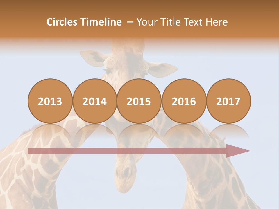 Giraffe Couple In Love With Blue Sky On Background PowerPoint Template