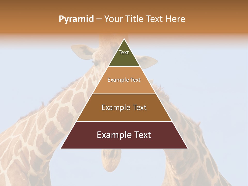 Giraffe Couple In Love With Blue Sky On Background PowerPoint Template