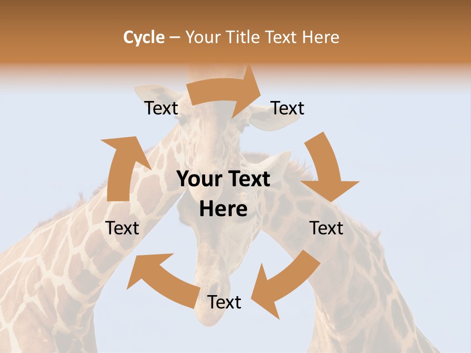 Giraffe Couple In Love With Blue Sky On Background PowerPoint Template