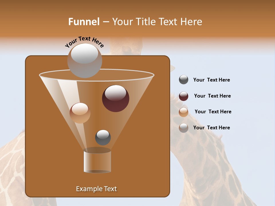 Giraffe Couple In Love With Blue Sky On Background PowerPoint Template