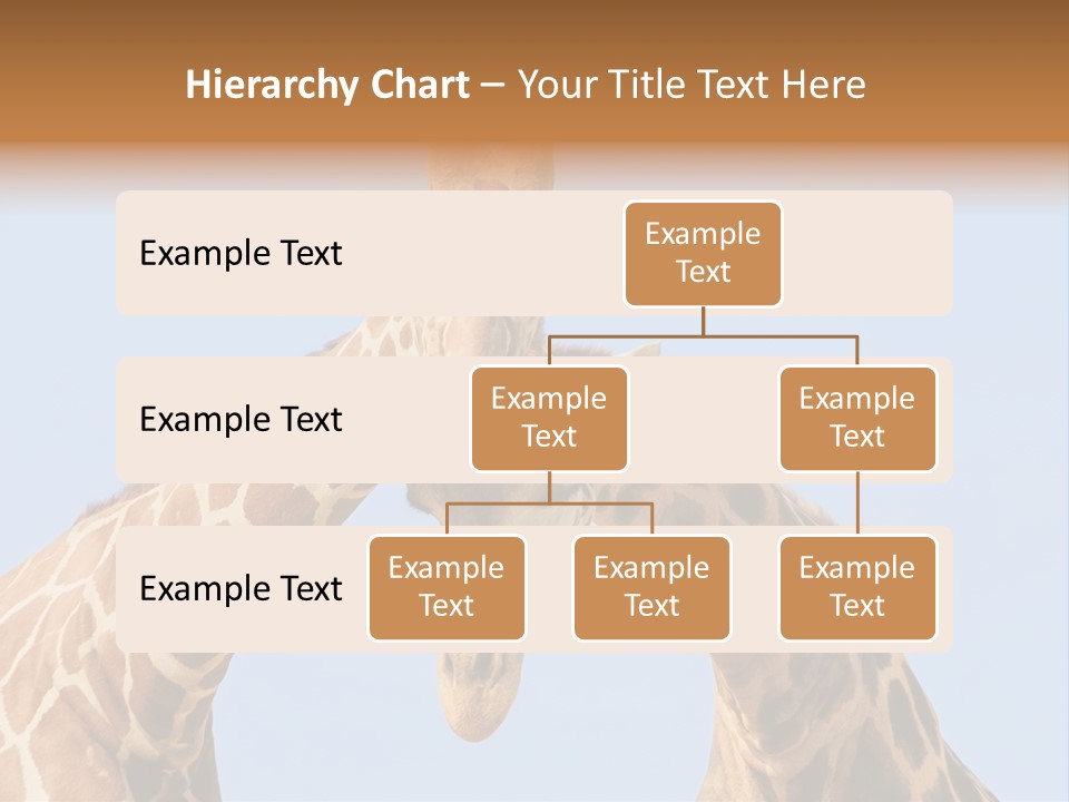 Giraffe Couple In Love With Blue Sky On Background PowerPoint Template