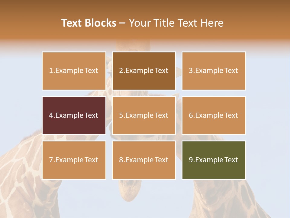 Giraffe Couple In Love With Blue Sky On Background PowerPoint Template