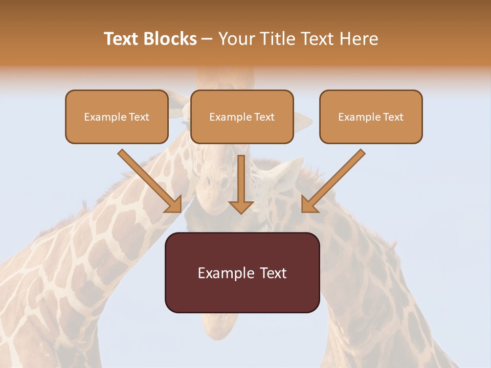 Giraffe Couple In Love With Blue Sky On Background PowerPoint Template