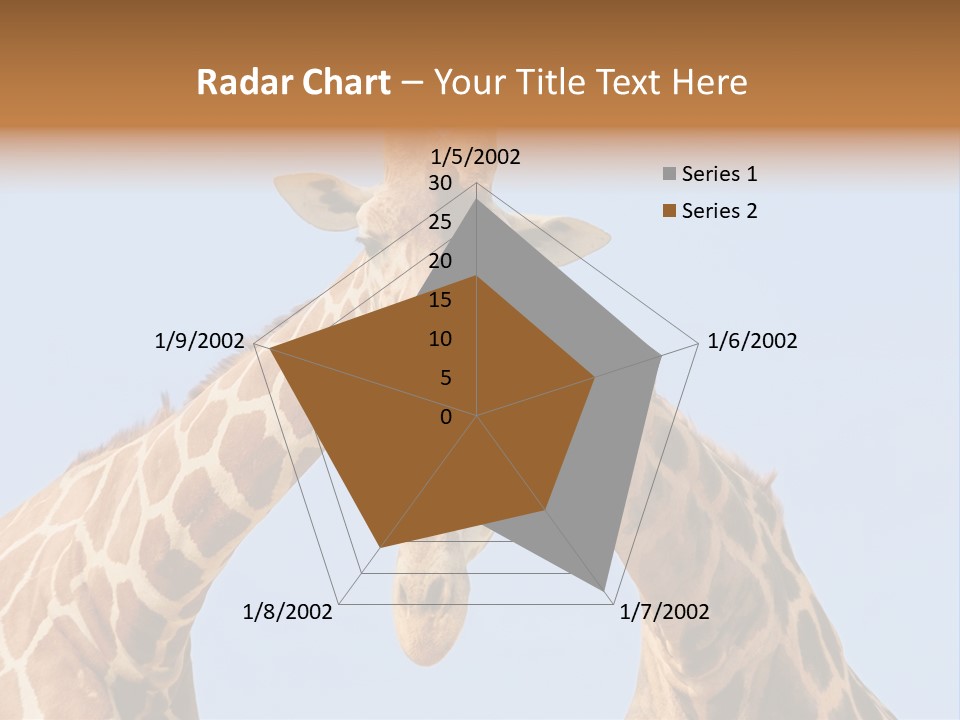 Giraffe Couple In Love With Blue Sky On Background PowerPoint Template