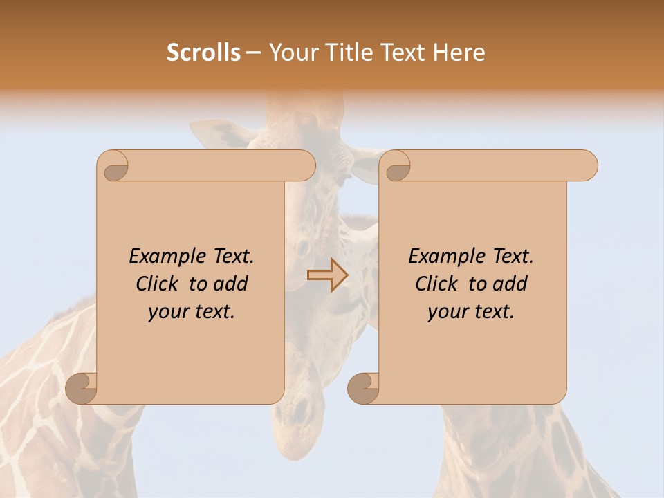 Giraffe Couple In Love With Blue Sky On Background PowerPoint Template