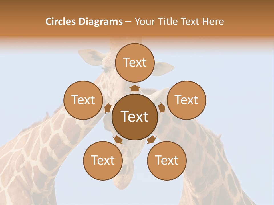 Giraffe Couple In Love With Blue Sky On Background PowerPoint Template