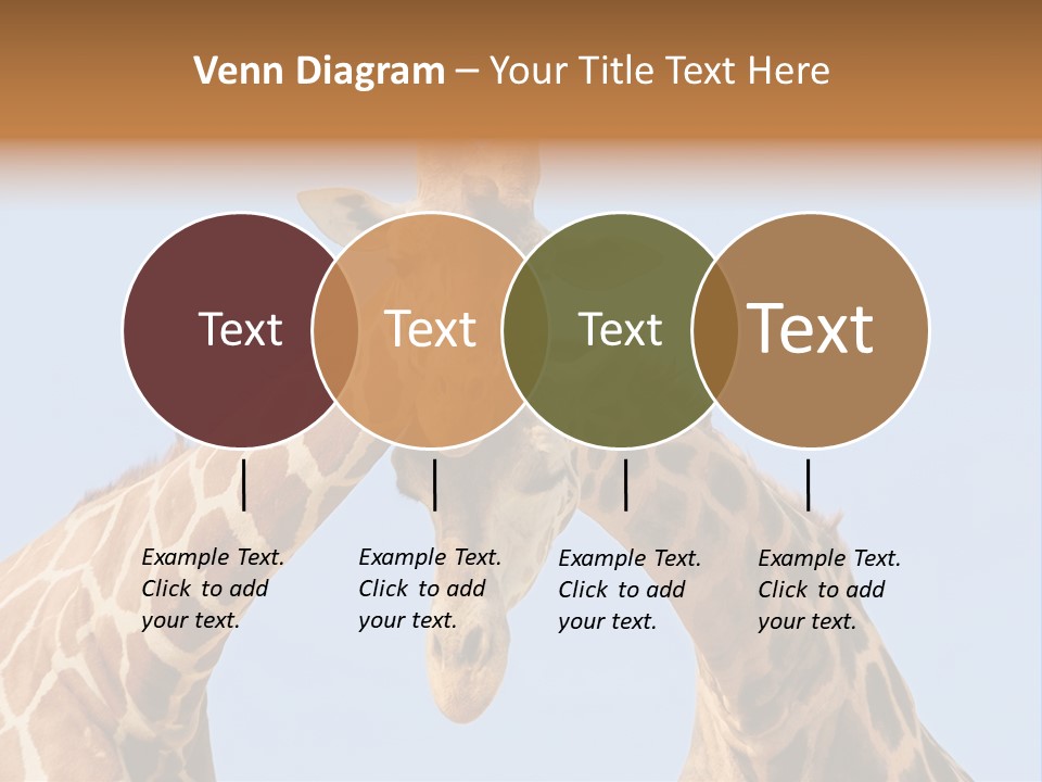 Giraffe Couple In Love With Blue Sky On Background PowerPoint Template