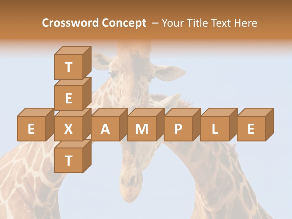 Giraffe Couple In Love With Blue Sky On Background PowerPoint Template