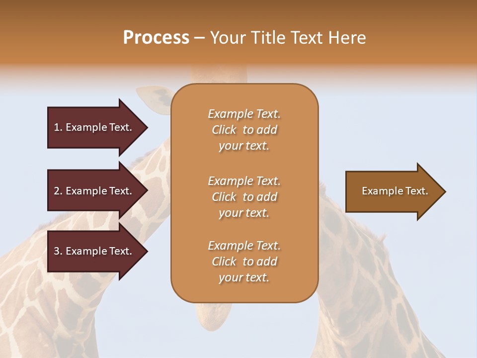 Giraffe Couple In Love With Blue Sky On Background PowerPoint Template