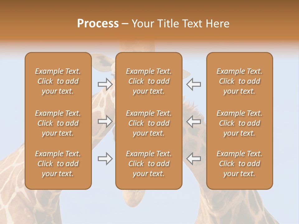 Giraffe Couple In Love With Blue Sky On Background PowerPoint Template