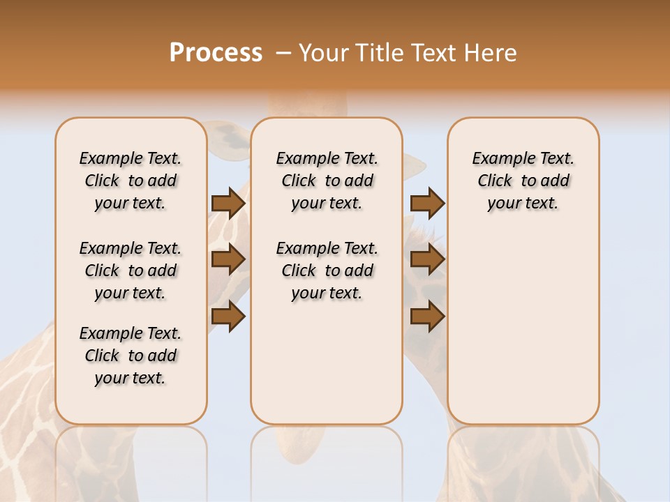 Giraffe Couple In Love With Blue Sky On Background PowerPoint Template
