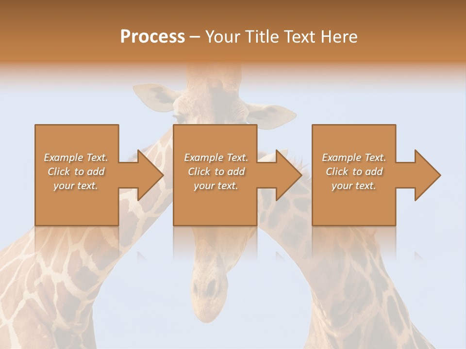 Giraffe Couple In Love With Blue Sky On Background PowerPoint Template