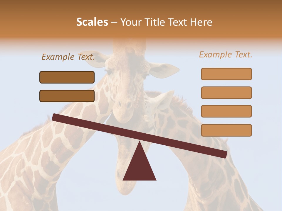 Giraffe Couple In Love With Blue Sky On Background PowerPoint Template