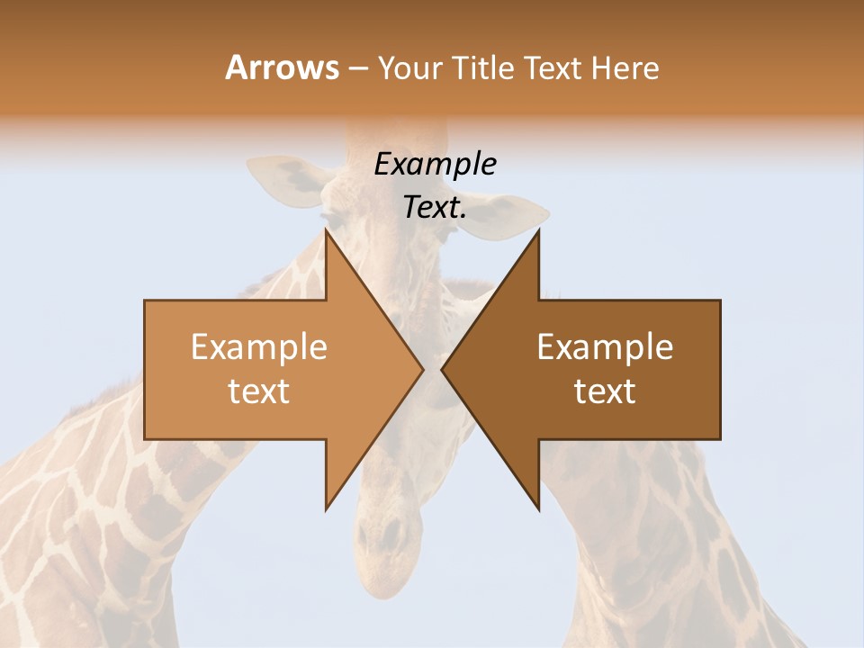 Giraffe Couple In Love With Blue Sky On Background PowerPoint Template