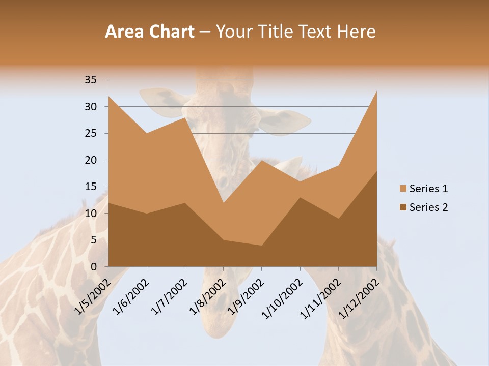 Giraffe Couple In Love With Blue Sky On Background PowerPoint Template