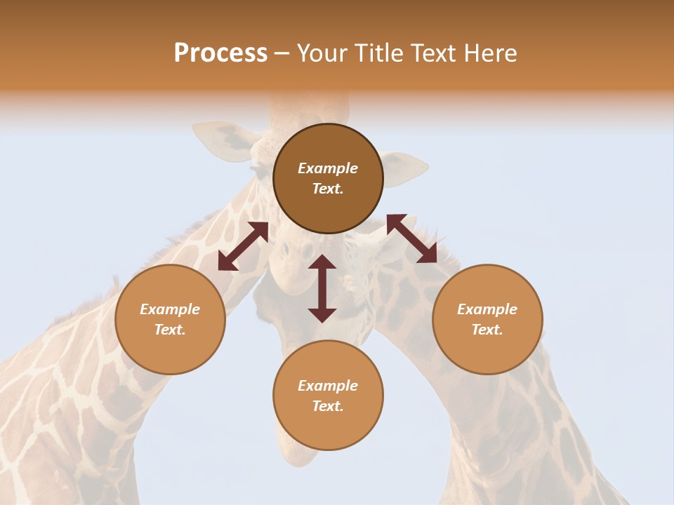 Giraffe Couple In Love With Blue Sky On Background PowerPoint Template