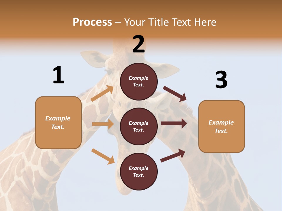 Giraffe Couple In Love With Blue Sky On Background PowerPoint Template