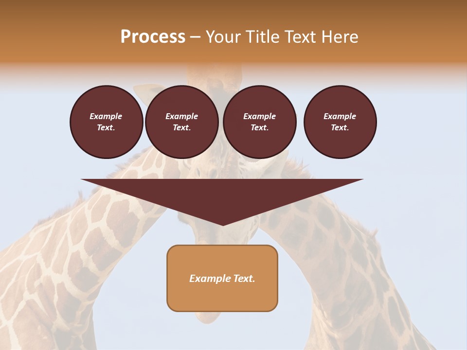 Giraffe Couple In Love With Blue Sky On Background PowerPoint Template