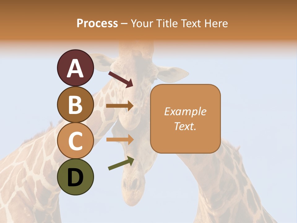 Giraffe Couple In Love With Blue Sky On Background PowerPoint Template