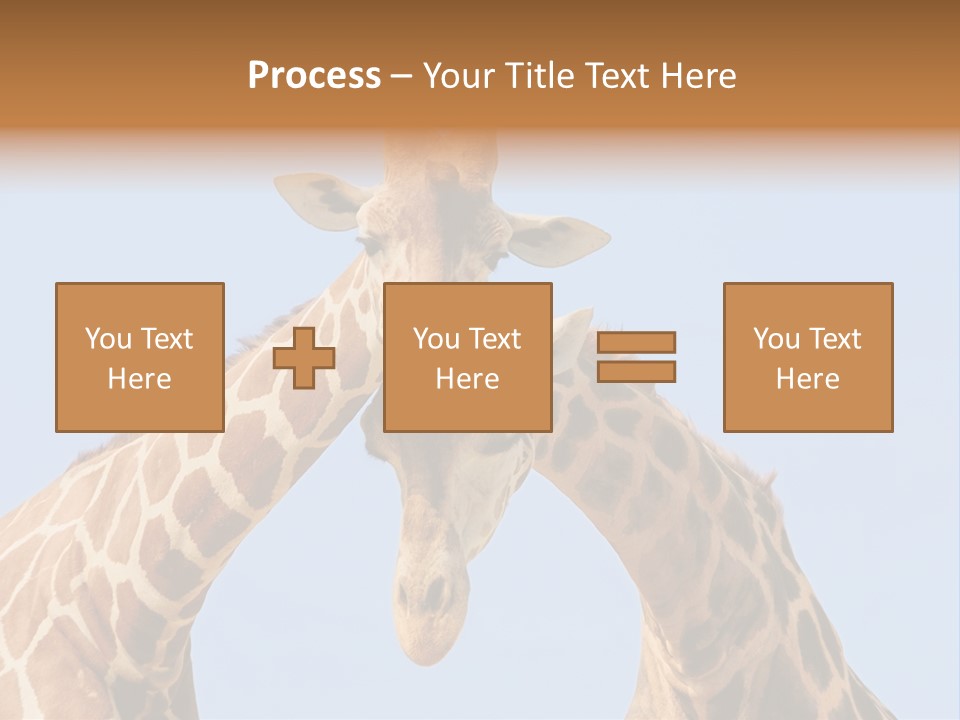 Giraffe Couple In Love With Blue Sky On Background PowerPoint Template