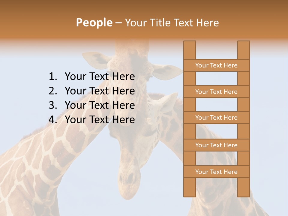 Giraffe Couple In Love With Blue Sky On Background PowerPoint Template