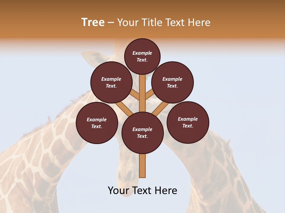 Giraffe Couple In Love With Blue Sky On Background PowerPoint Template