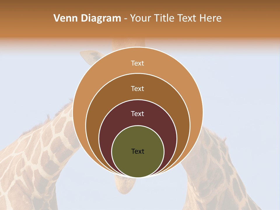 Giraffe Couple In Love With Blue Sky On Background PowerPoint Template