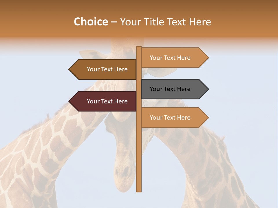 Giraffe Couple In Love With Blue Sky On Background PowerPoint Template