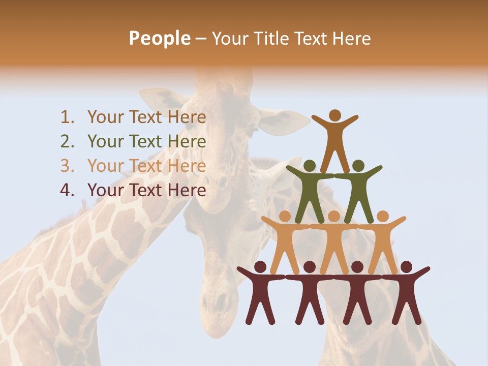 Giraffe Couple In Love With Blue Sky On Background PowerPoint Template