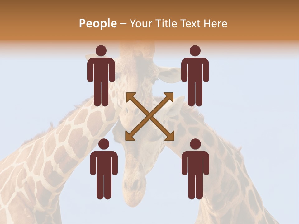 Giraffe Couple In Love With Blue Sky On Background PowerPoint Template