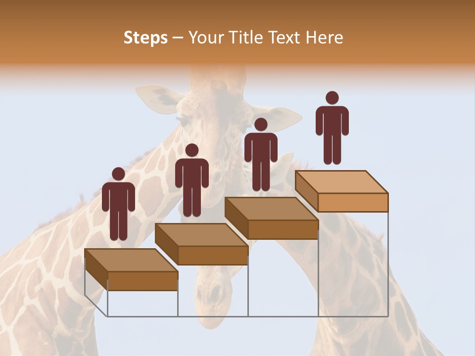 Giraffe Couple In Love With Blue Sky On Background PowerPoint Template