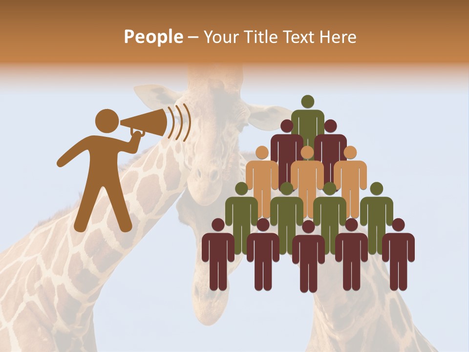 Giraffe Couple In Love With Blue Sky On Background PowerPoint Template