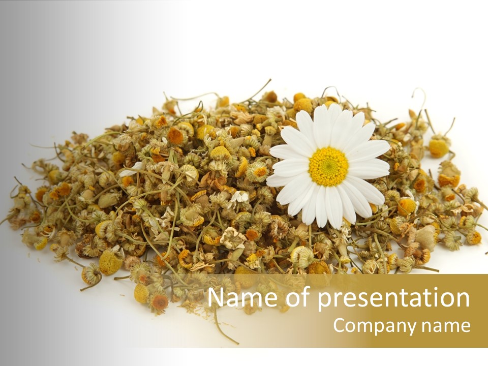 Dried Chamomile Tea Isolated On White Background PowerPoint Template