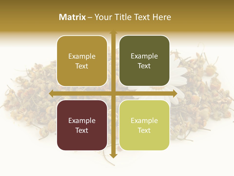 Dried Chamomile Tea Isolated On White Background PowerPoint Template