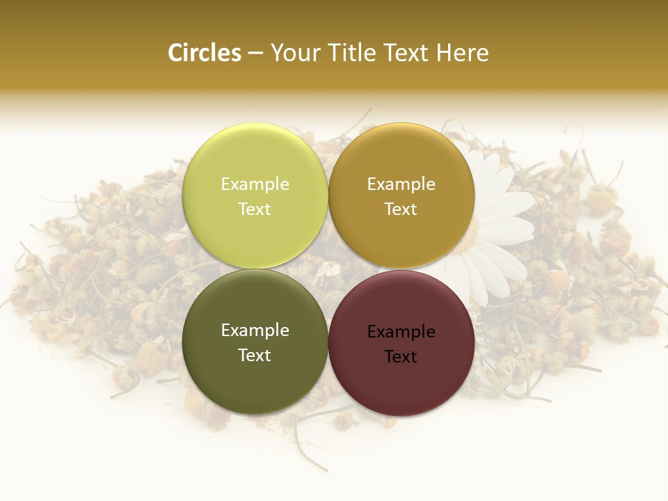 Dried Chamomile Tea Isolated On White Background PowerPoint Template
