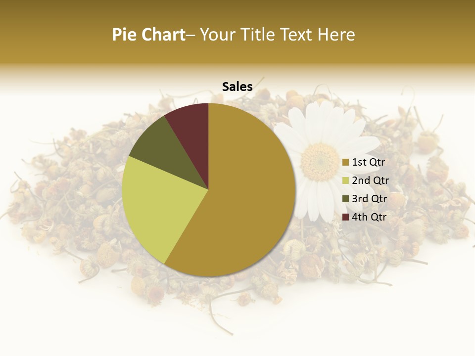 Dried Chamomile Tea Isolated On White Background PowerPoint Template