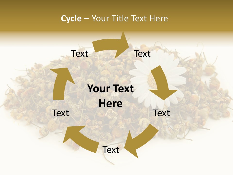 Dried Chamomile Tea Isolated On White Background PowerPoint Template