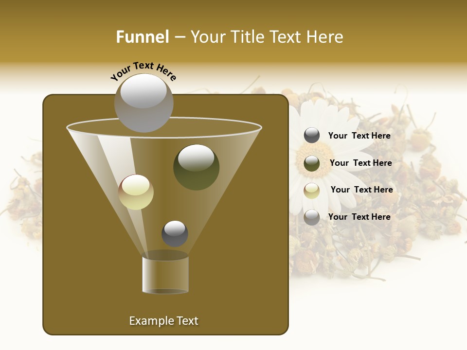 Dried Chamomile Tea Isolated On White Background PowerPoint Template